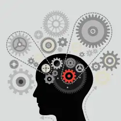 curso de gestão do conhecimento