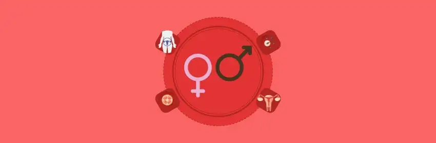 curso educação sexual 