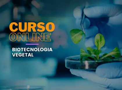 Biotecnologia Vegetal - Cultura de Tecidos  in vitro Biotecnologia Vegetal - Cultura de Tecidos  in vitro