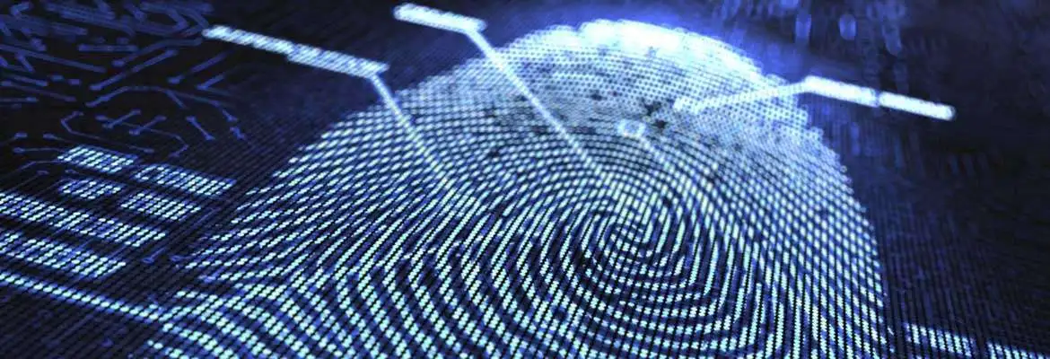 Papiloscopia - Fundamentos Essenciais Papiloscopia - Fundamentos Essenciais