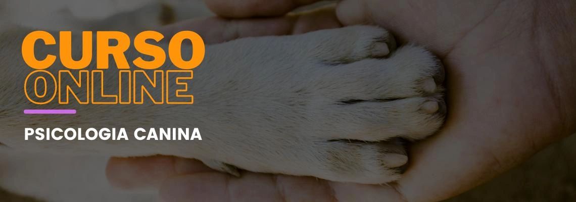 Psicologia Canina