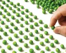 TOC - TRANSTORNO OBSESSIVO COMPULSIVO TOC - TRANSTORNO OBSESSIVO COMPULSIVO