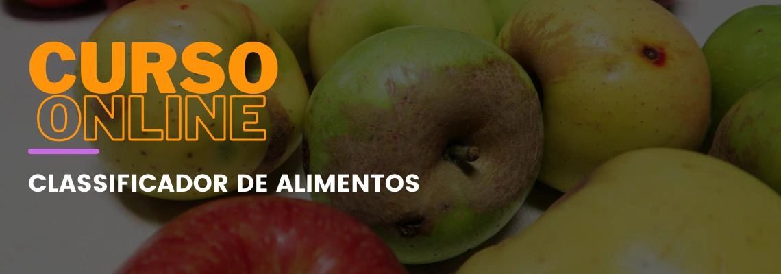 Classificador de Alimentos: Do Básico ao Avançado em Nutrição e Classificação Classificador de Alimentos: Do Básico ao Avançado em Nutrição e Classificação