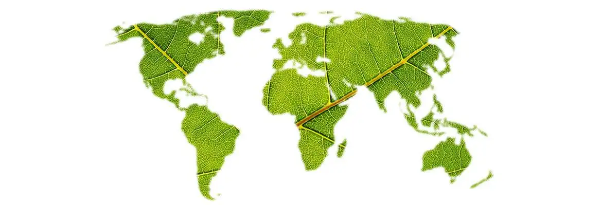 Política e Gestão Ambiental - Noções