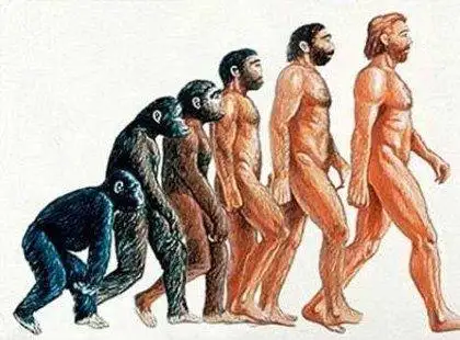 Teorias Antropológicas Teorias Antropológicas