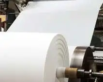 Tecnologia do Papel e Celulose