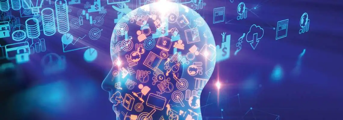 Neurociência e a Alfabetização Neurociência e a Alfabetização