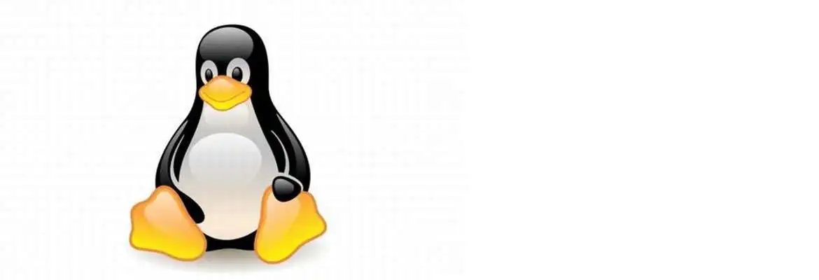 Noções de Linux Noções de Linux