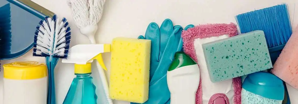 Qualificação em Serviços Domésticos Qualificação em Serviços Domésticos