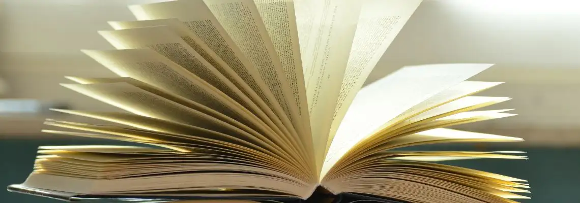 Literatura Africana e Indígena Literatura Africana e Indígena