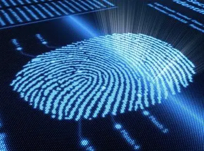 Papiloscopia - Fundamentos Essenciais Papiloscopia - Fundamentos Essenciais